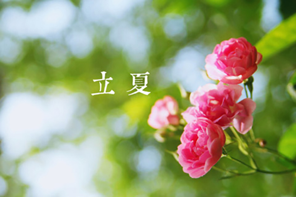 62彩集团涂装|立夏,万物向阳,且共成长